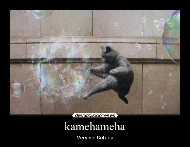 carteles gato ninya desmotivaciones