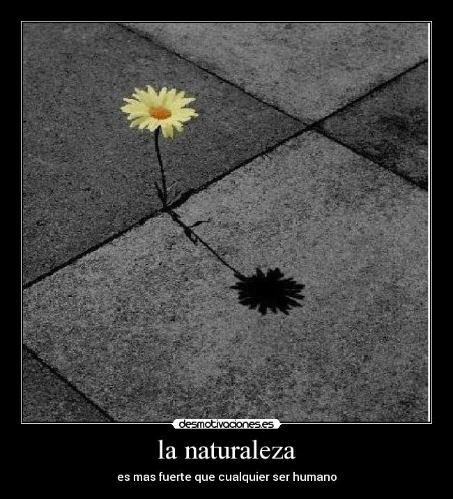 la naturaleza -