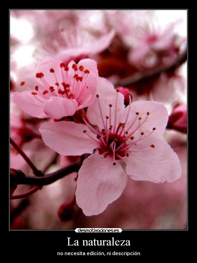 La naturaleza - no necesita edición, ni descripción