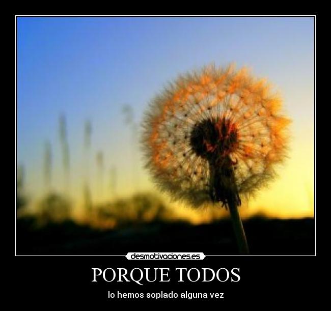 carteles deseos desmotivaciones