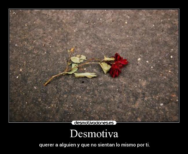 carteles amor desmotivaciones