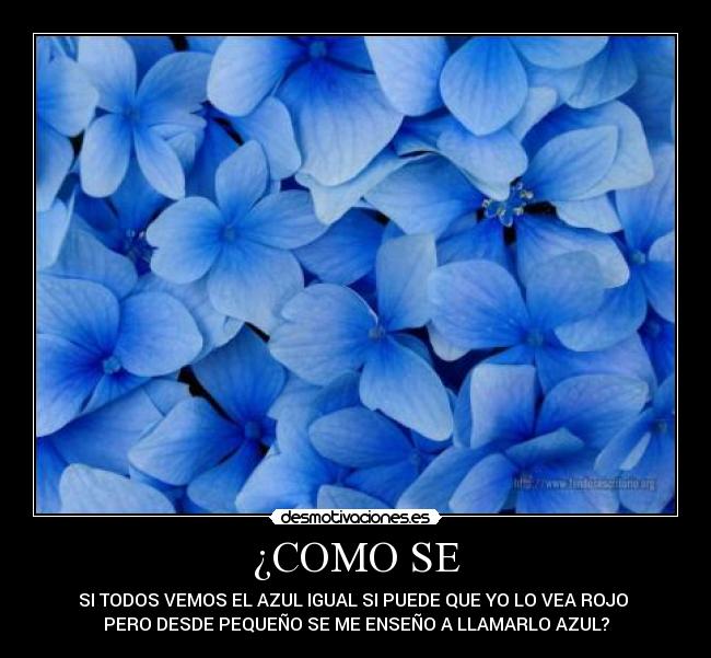 ¿COMO SE - SI TODOS VEMOS EL AZUL IGUAL SI PUEDE QUE YO LO VEA ROJO
PERO DESDE PEQUEÑO SE ME ENSEÑO A LLAMARLO AZUL?
