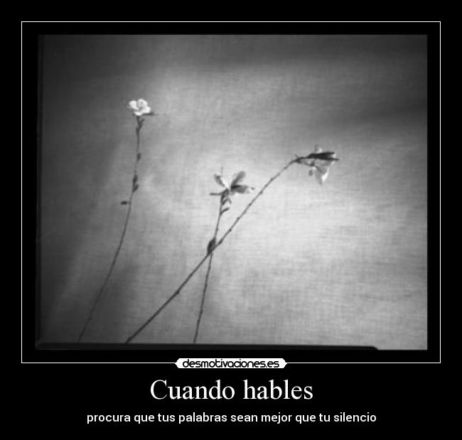 Cuando hables - procura que tus palabras sean mejor que tu silencio