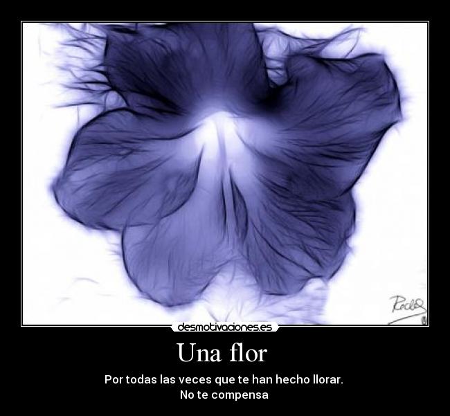 carteles una flor desmotivaciones