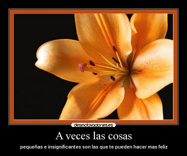 A veces las cosas - 