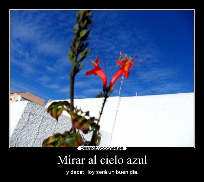Mirar al cielo azul -