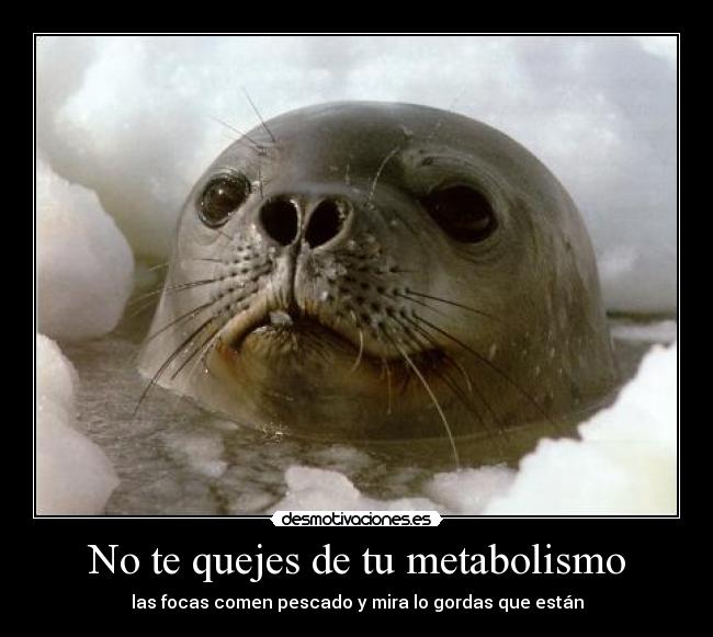 No te quejes de tu metabolismo - 