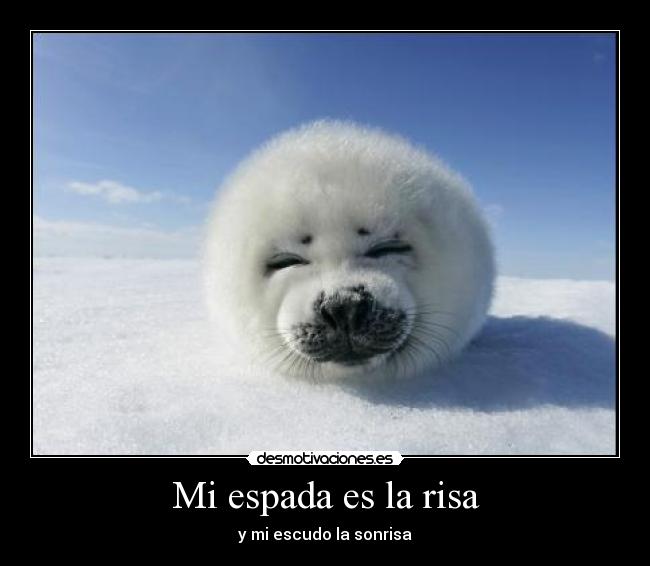 Mi espada es la risa - y mi escudo la sonrisa