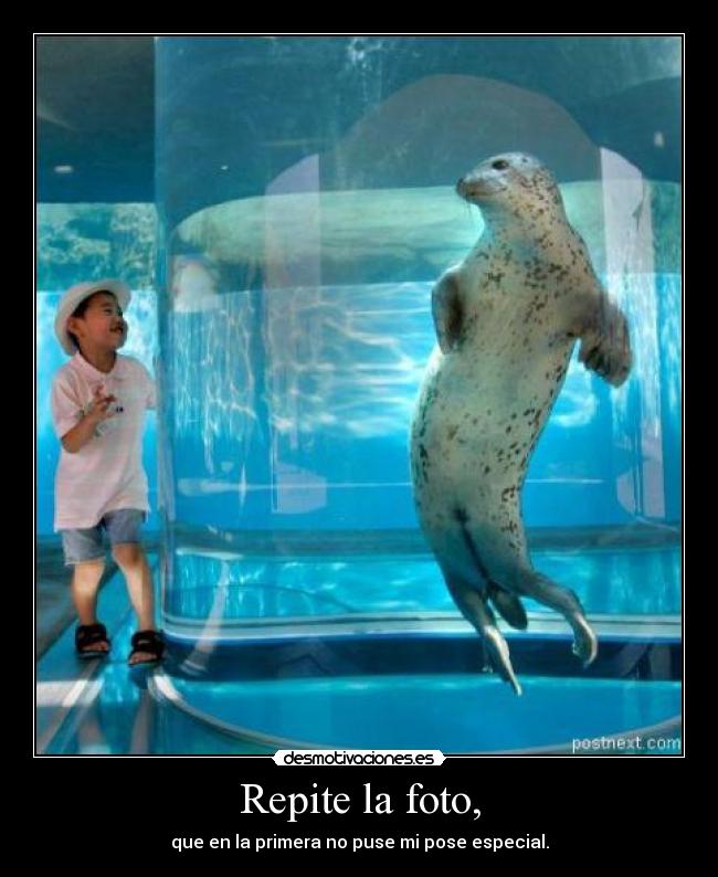 Repite la foto, -