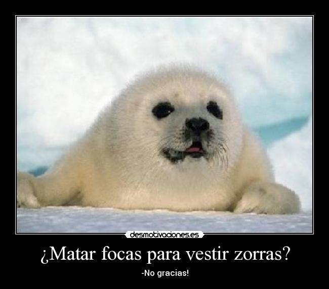 ¿Matar focas para vestir zorras? - -No gracias!