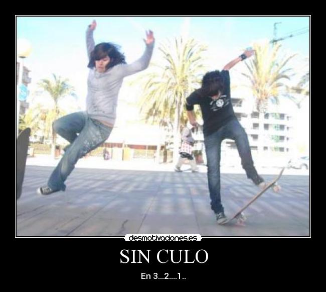 carteles skate die desmotivaciones