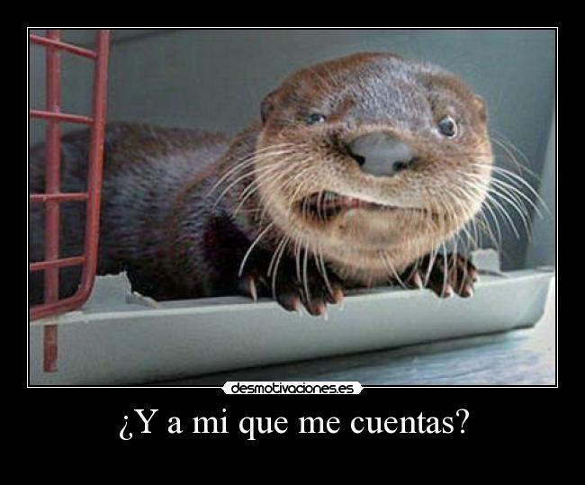 ¿Y a mi que me cuentas? - 