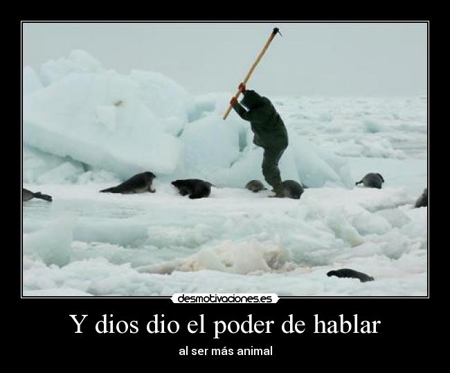 Y dios dio el poder de hablar - 