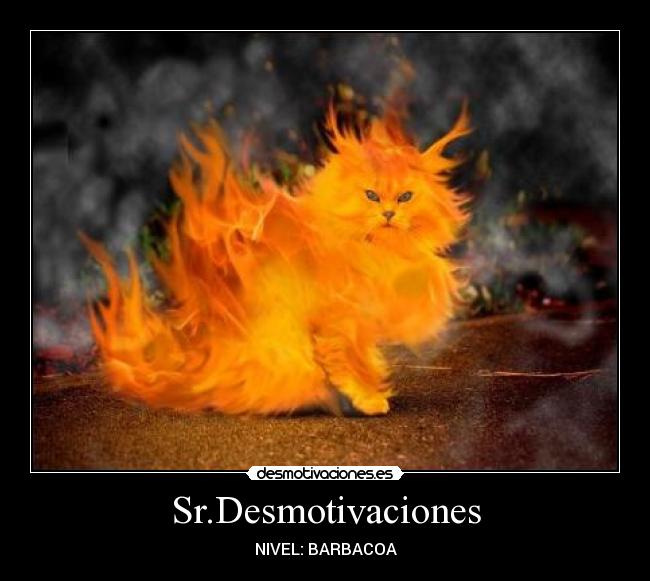 Sr.Desmotivaciones - NIVEL: BARBACOA