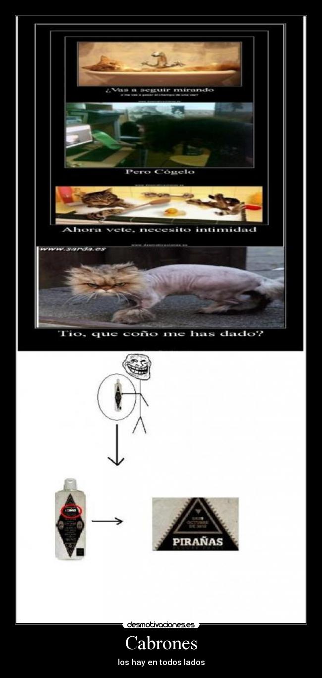 Cabrones - los hay en todos lados