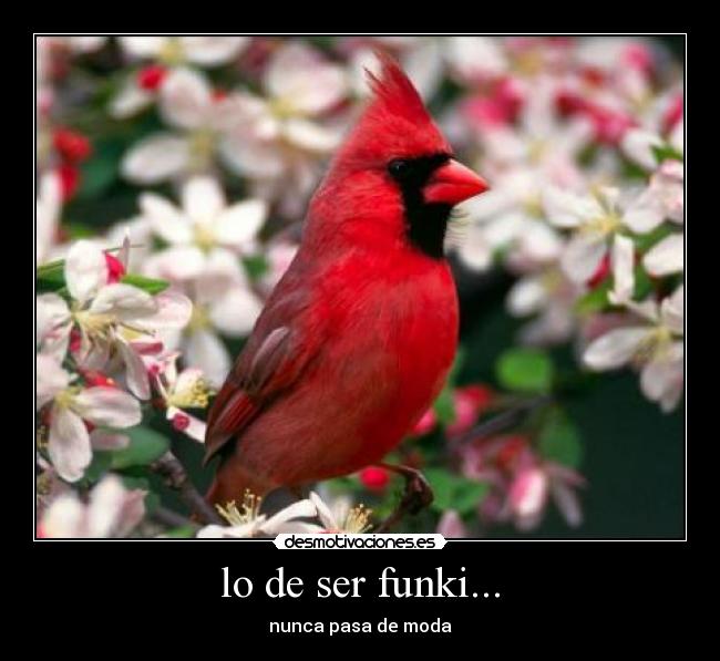 carteles desmotivacion desmotivaciones