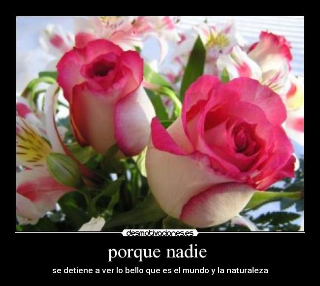 carteles gabrielelcordobez desmotivaciones