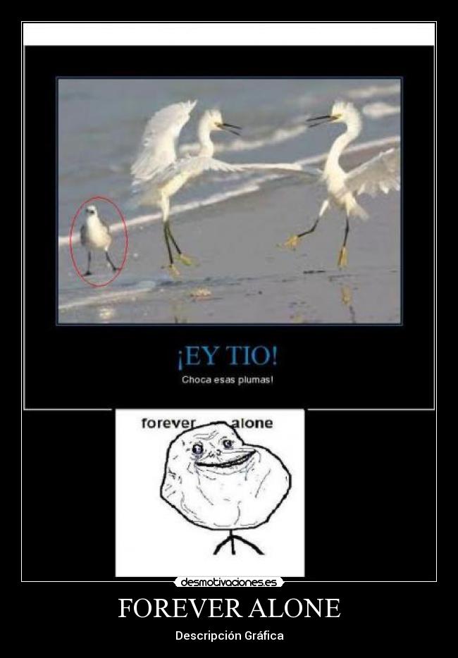 FOREVER ALONE -