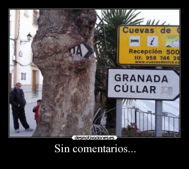 Sin comentarios... -
