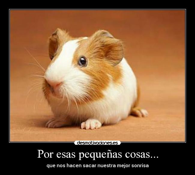Por esas pequeñas cosas... -