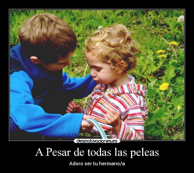 A Pesar de todas las peleas - Adoro ser tu hermano/a