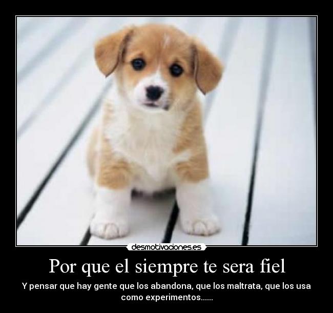 Por que el siempre te sera fiel -