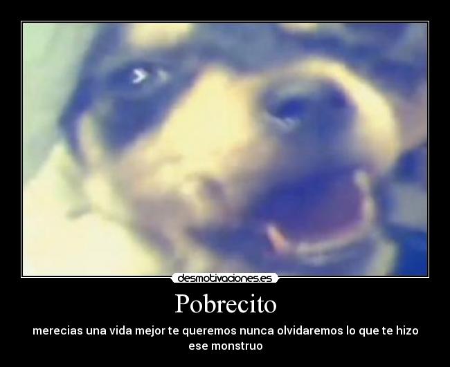Pobrecito -