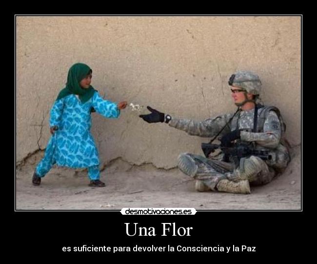 Una Flor - 