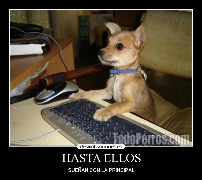HASTA ELLOS - SUEÑAN CON LA PRINCIPAL