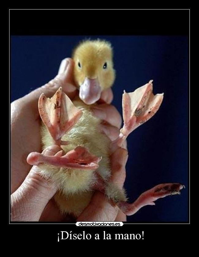 ¡Díselo a la mano! -