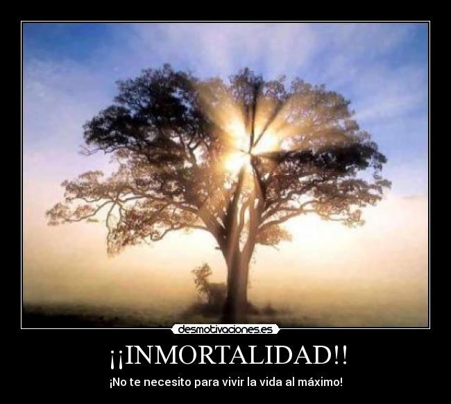 carteles inmortal desmotivaciones