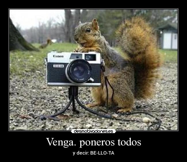 Venga. poneros todos - 