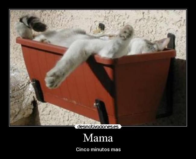 Mama - Cinco minutos mas