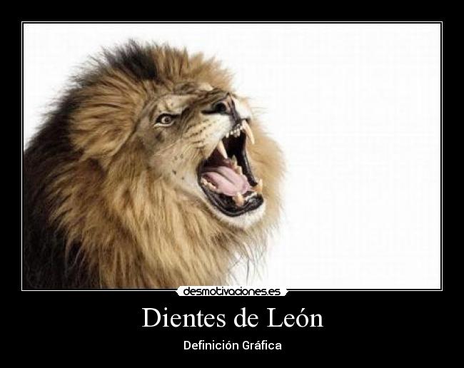 Dientes de León - 