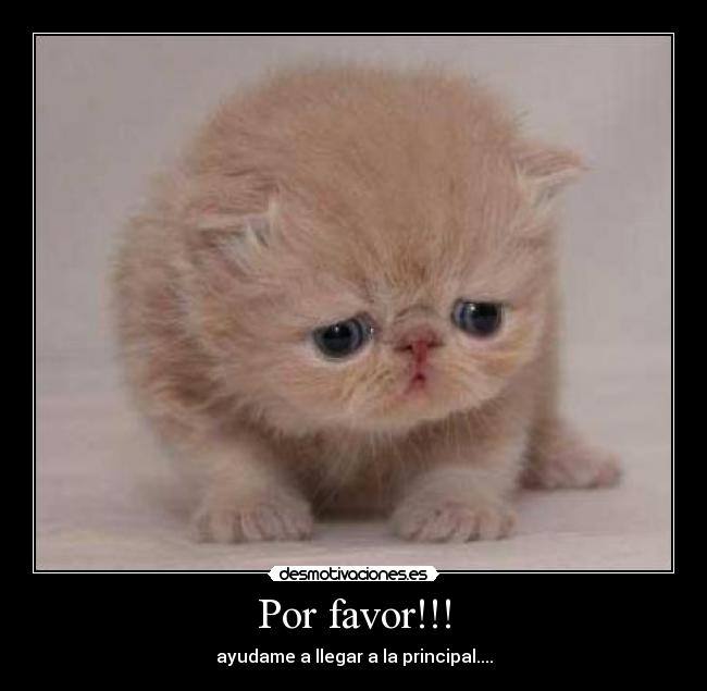 Por favor!!! -