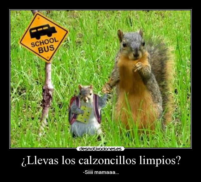 ¿Llevas los calzoncillos limpios? - -Siiii mamaaa...