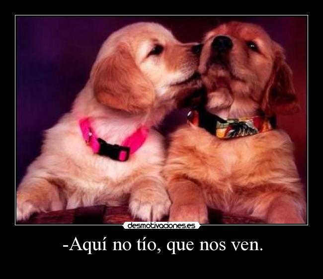 -Aquí no tío, que nos ven. -