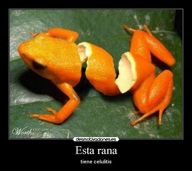Esta rana - tiene celulitis