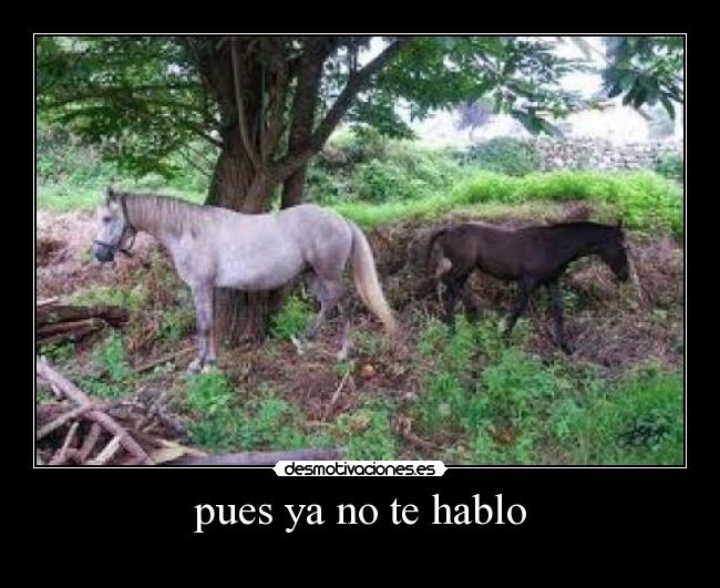 pues ya no te hablo -