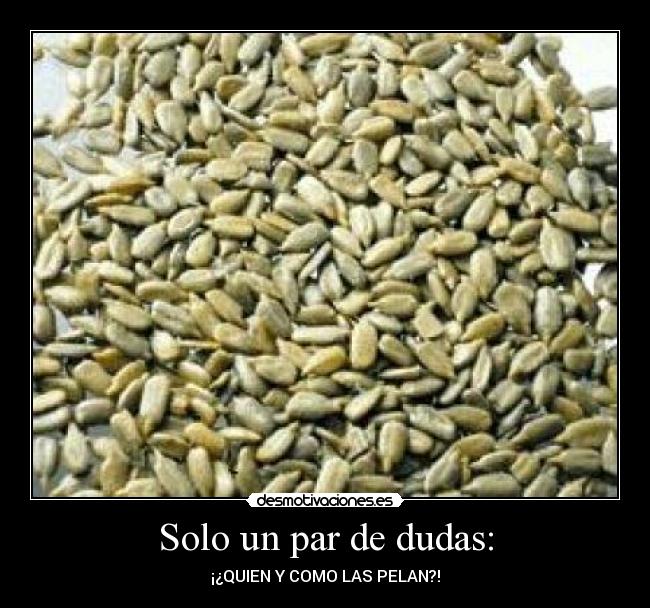 carteles pipas desmotivaciones