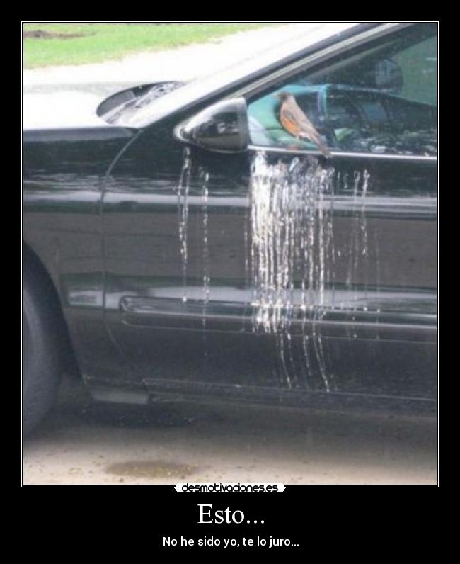 Esto... - No he sido yo, te lo juro...