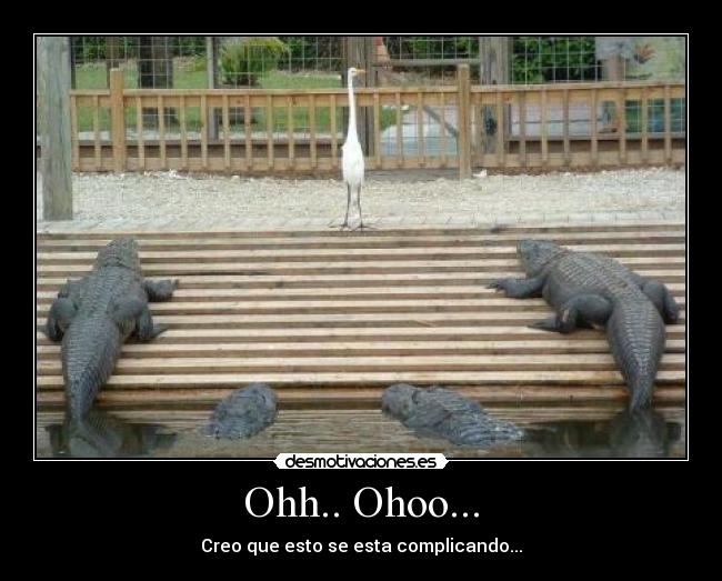 Ohh.. Ohoo... - Creo que esto se esta complicando...
