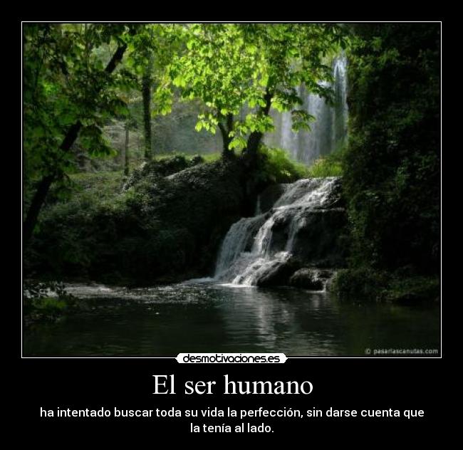El ser humano - ha intentado buscar toda su vida la perfección, sin darse cuenta que la tenía al lado.