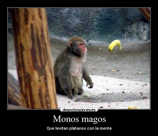 carteles mono desmotivaciones