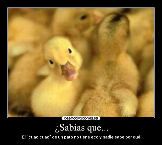 carteles sabias que desmotivaciones