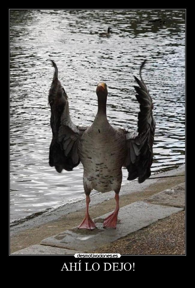 AHÍ LO DEJO! - 