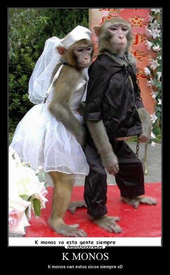 K MONOS - K monos van estos xicos siempre xD