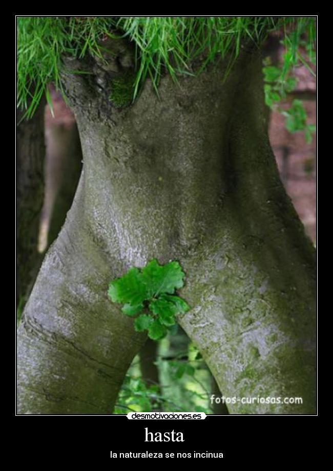 hasta - la naturaleza se nos incinua