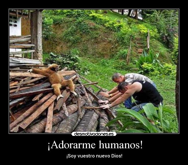 ¡Adorarme humanos! -