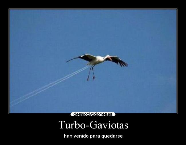 carteles las turbo-gaviotas desmotivaciones